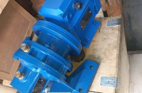 Gear electric motor