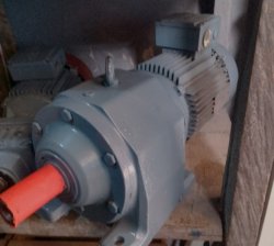 Gear Motor